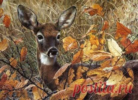 Цветовые палитры 
Теперь каждый вторник мы будем выкладывать для Вас палитру для двух мотивов. 
Цветовая палитра может помочь при выборе фона или бордюра на боковинки. А самое главное, поможет выбрать цвет внутренней обивки. 
БОНУС для участников "Закрытого клуба Студия декора О.К."-Вы можете предложить картинку и мы выложим палитру именно для нее в ближайший вторник. 
Вы можете добавиться в Закрытый клуб, если Вы приобретали хотя бы один МК Ольги Комарницкой. Для этого п...