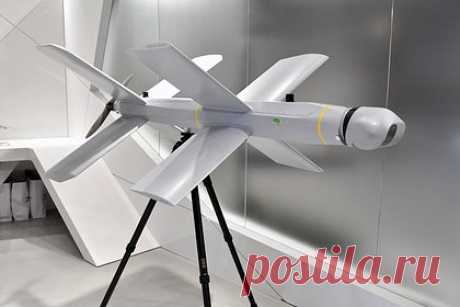 В США описали «значительный удар» российского «Ланцета» по системе ПВО Украины. Российский беспилотник «Ланцет» нанес «значительный удар» по украинской системе противовоздушной обороне (ПВО) Skyguard, использующий ракеты Aspide. Атаку дрона-камикадзе описывает The Drive. Издание пишет, что в связке с «Ланцетом» работал разведывательный беспилотник.