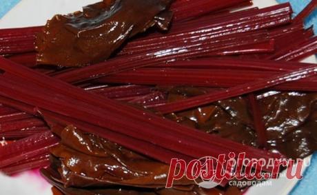 Свекольная ботва: заготовки на зиму, лучшие рецепты с фото