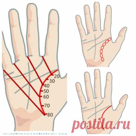 Линия жизни на ладони расскажет о продолжительности жизни