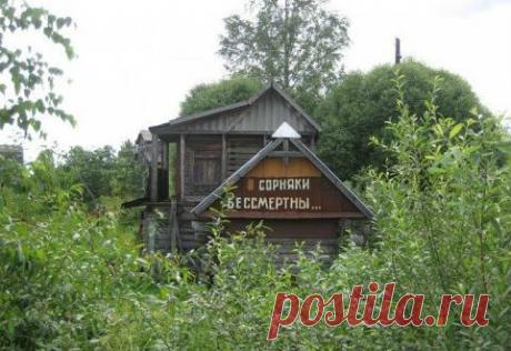 Дачные приколы / Писец - приколы интернета