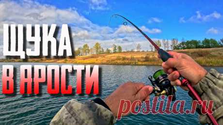 🔴 ЭТО НЕ ВОБЛЕР, ЭТО ВЫЗОВ! Бесим щуку крупным воблером! 😱💥🔥 Осенняя щука — это не рыба, это машина для убийств. И чтобы ее поймать, нужна не приманка, а вызов. На этой рыбалке я устроил ей проверку на прочность с наст...