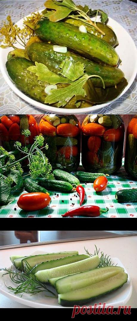 КАК ЗАГОТОВИТЬ ОГУРЦЫ! | Самые популярные и самые вкусные рецепты с видео