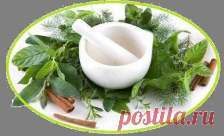 Подборка рецептов для очищения и оздоровления почек