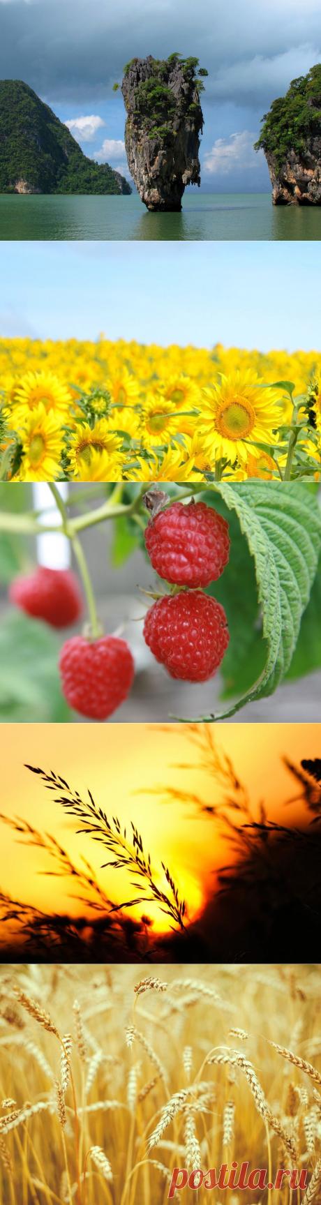 Обои для рабочего стола. Природа..