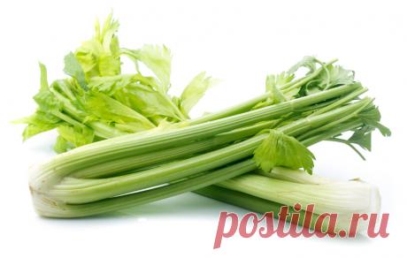 Как приготовить полезную соль из сельдерея. Приготовьте соль из сельдерея в домашних условиях, если дорожите своим здоровьем Многие растения изобилуют органической солью, которую впитывают из почвы, а затем преобразуют ее в органические соединения.
