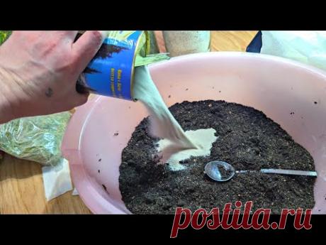 Чтобы всходы выглядели крепышами добавляю в грунт под рассаду такой порошок. Лучше ничего нету.