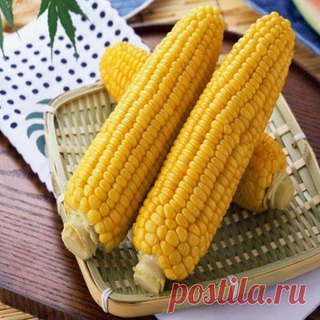 Кукуруза с овощами | Друг пенсионера
Блюда из кукурузы оздоравливают желудочно-кишечный тракт, особенно полезны при запорах. Содержащаяся в кукурузных зернах глутаминовая кислота является естественным психостимулятором, улучшающим память и обменные процессы в головном мозге.