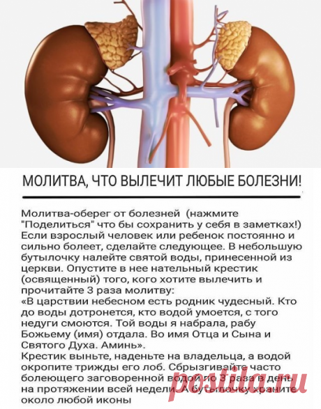 (9) Одноклассники