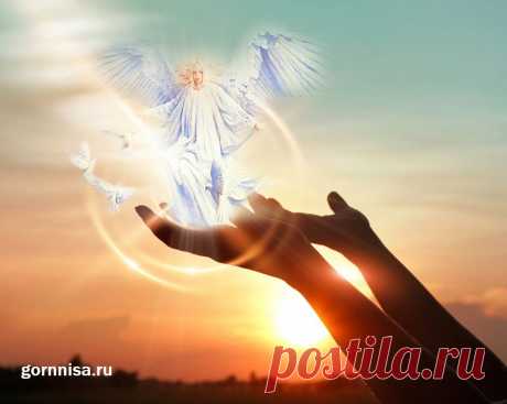 Линия ангела-хранителя на вашей ладони | ГОРНИЦА Линия ангела-хранителя на вашей ладони - одна из самых интересных линий в хиромантии. Как именно она дублирует линию жизни имеет большое значение