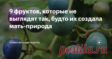 9 фруктов, которые не выглядят так, будто их создала мать-природа Растительный мир полон сюрпризов!