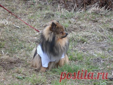 я какаю,не подсматривайте