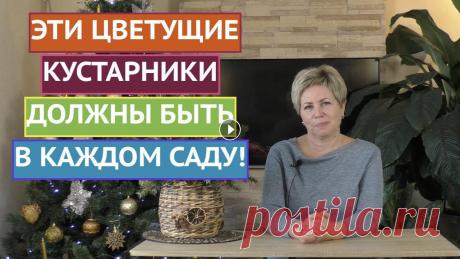 САМЫЕ КРАСИВЫЕ ЦВЕТУЩИЕ КУСТАРНИКИ, КОТОРЫЕ ДОЛЖНЫ БЫТЬ В КАЖОМ САДУ! САМЫЕ КРАСИВЫЕ ЦВЕТУЩИЕ КУСТАРНИКИ, КОТОРЫЕ ДОЛЖНЫ БЫТЬ В КАЖОМ САДУ!...