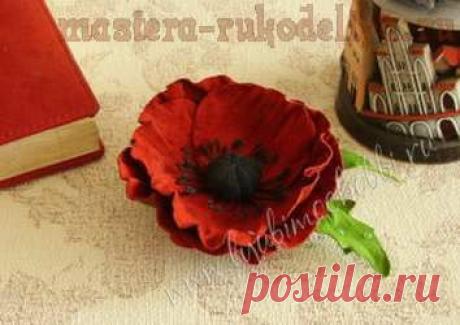 Мастера рукоделия - рукоделие для дома. Бесплатные мастер-классы, фото и видео уроки - Мастер-класс: Брошь из кожи "Красный мак"