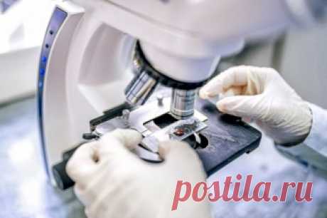 Профессия: врач-лаборант