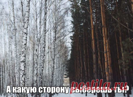 Картина Репина «Приплыли»: всю ночь гребли, а лодку отвязать забыли...