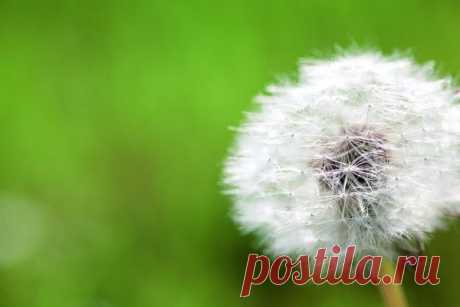 О возможностях лечения на основе нетрадиционной диагностики
Заключения нетрадиционной диагностики не рассматриваются при выработке терапевтического плана в рамках официальной, доказательной медицины. Единственная основа для ...