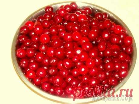 Моя вишневка