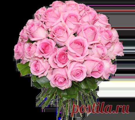 Для тебя подруга | Музыкальные Открытки Бесплатно