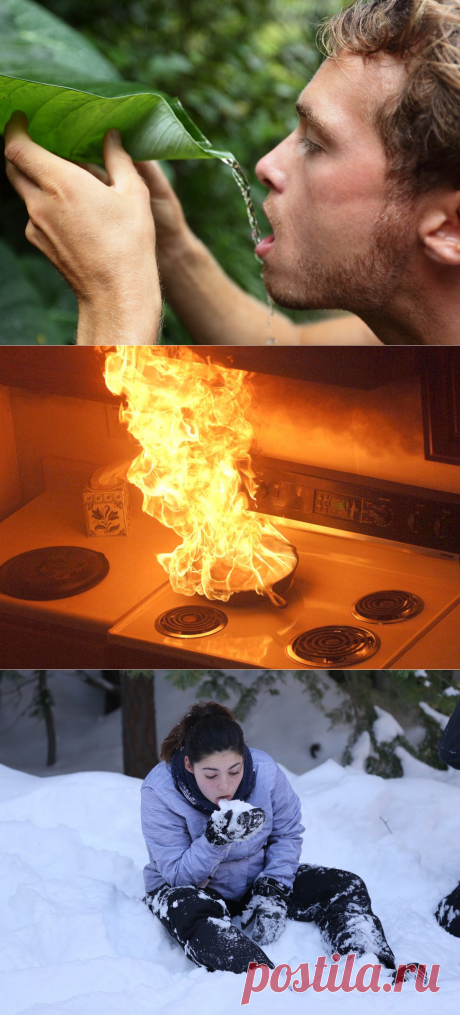 17 правил, которые спасут вам жизнь • НОВОСТИ В ФОТОГРАФИЯХ