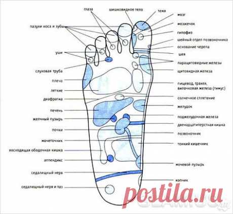 Массаж ступней ног