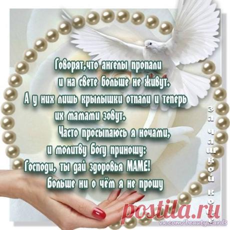 Gallery.ru / Фото #178 - ВСЯКАЯ ВСЯЧИНА - Nega3