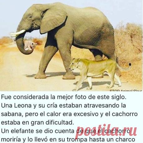 mancias y espiritualidad - Buscar con Google