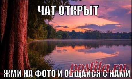 Чат для Вас, Лайфхакеры / Взлом логики