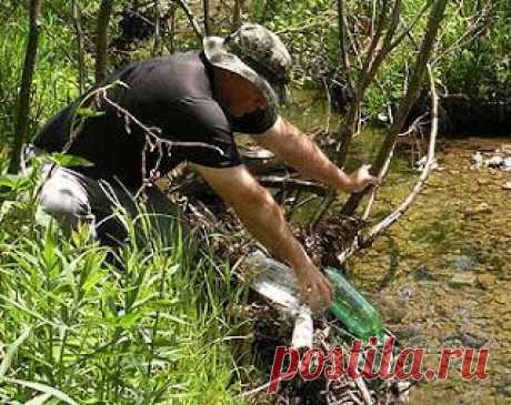 Рыбалка видео: Рыболовные самоловы типа «автомат»