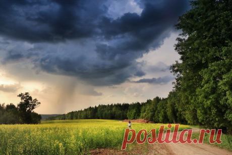 35PHOTO - Вейзе Максим - Гуляя под майской грозой