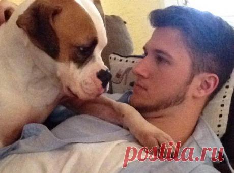 Животные, которые не знают, что такое личное пространство