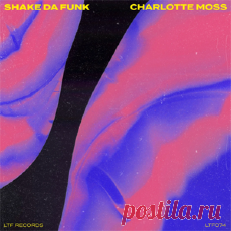 Charlotte Moss - Shake Da Funk | 4DJsonline.com