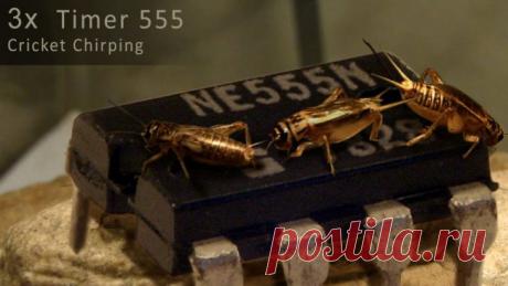 Электронный кузнечик