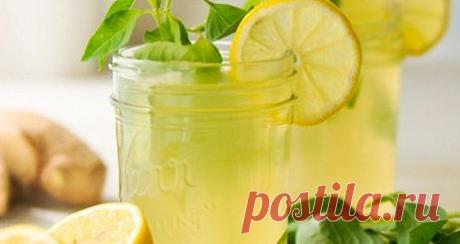 Летний лимонад с имбирем и мятой. Рецепт Лимоны, мяту и даже свежий имбирь лучше для приготовления брать из холодильника — это поможет добиться более мягкого вкуса на этапе смешивания ингредиентов. Концентрация напитка не предусматривает подачу со льдом или разбавление водой.