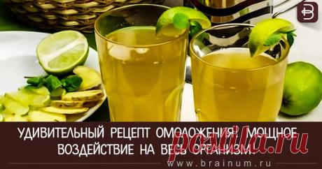 Удивительный Рецепт Омоложения! Мощное Воздействие На Весь Организм! | Brainum.ru | Яндекс Дзен
