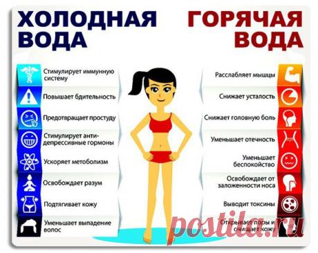 Чем полезна