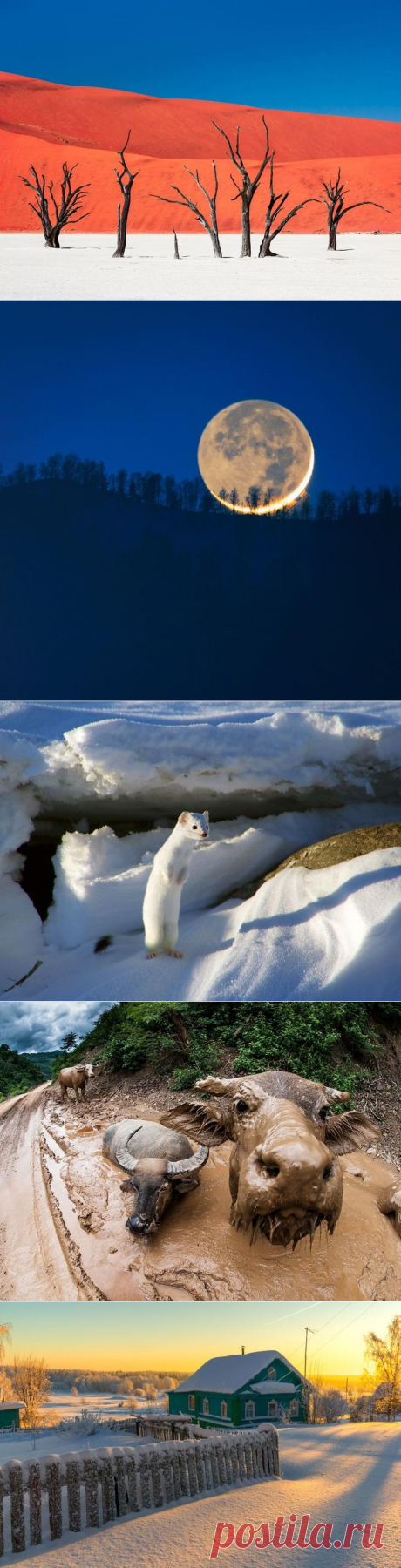 15 лучших кадров января от National Geographic