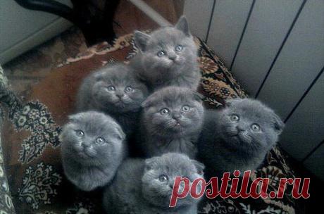 Фотографии Татьяна Лившиц - 104 фото в Моем Мире.