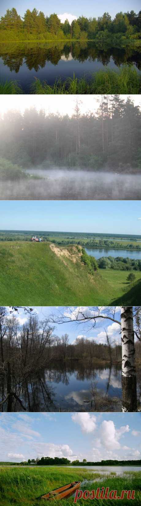 Удивительная Мещера - 4 Января 2014 - "Secret worlds"