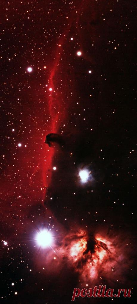 Whitney Huppert приколол(а) это к доске Outta this World