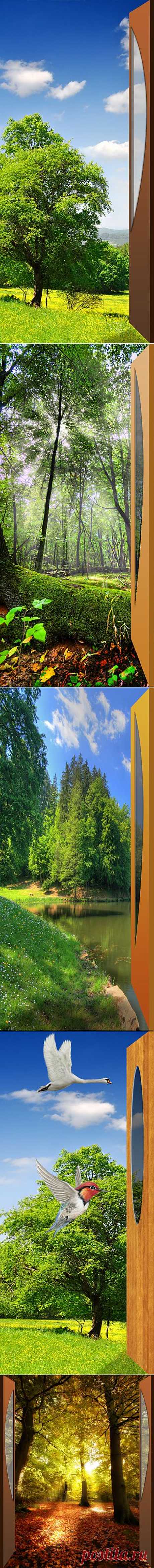 Летний пейзаж
Фото для наклеивания на межкомнатную дверь.