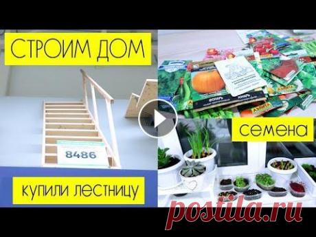 СТРОИМ ДОМ: купили лестницу и много семян для посадки СТРОИМ ДОМ: купили лестницу и много семян для посадки...