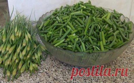 Салат из стрелок чеснока по корейски