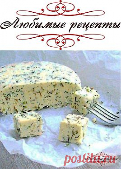 Домашний сыр с зеленью и тмином » Любимые рецепты