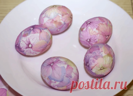 Идеи для жизни