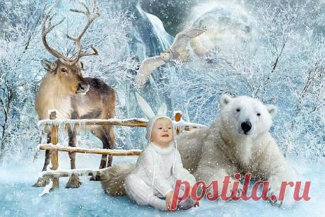 Коллажи для фотографов
"Зимние забавы №2"