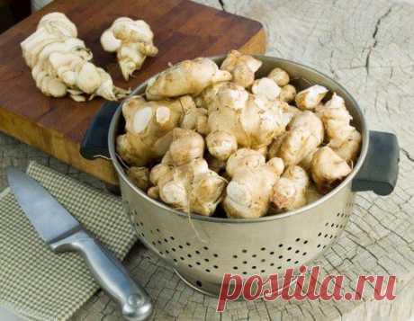 Топинамбур - отличное средство для похудения | Мамам, женщинам, бабушкам и очень любознательным.