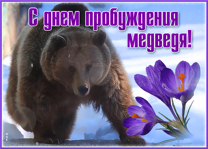 Желаю бодрости, как у медведя, который только что вышел из берлоги! Пусть эта весна принесет удачу, здоровье и много приятных событий! Открытки на День пробуждения медведя!
