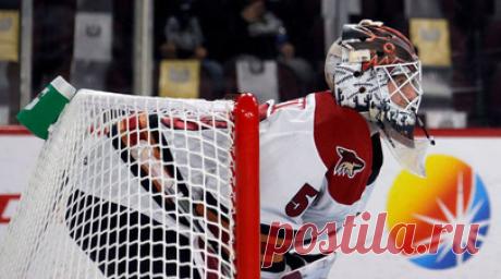 Вратарь «Колорадо» Просветов рассказал, что агент отправил его в 16 лет в США. Российский вратарь «Колорадо Эвеланш» Иван Просветов рассказал, почему в 16 лет переехал в США. Читать далее