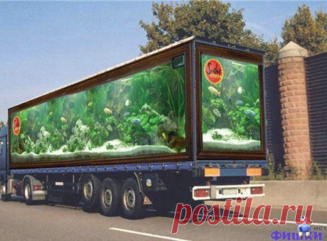 3D рисунки-фото.